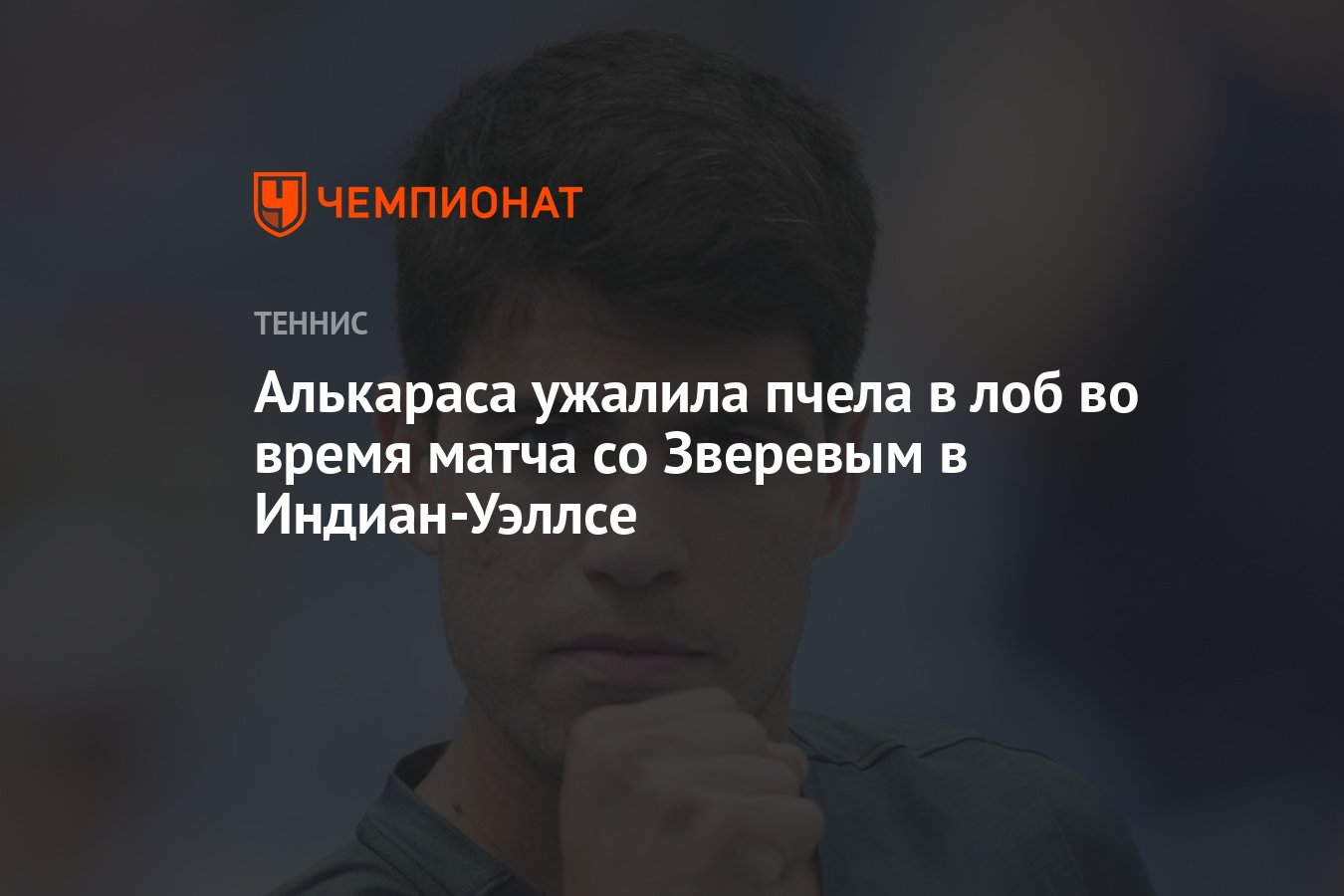 Алькараса ужалила пчела в лоб во время матча со Зверевым в Индиан-Уэллсе -  Чемпионат