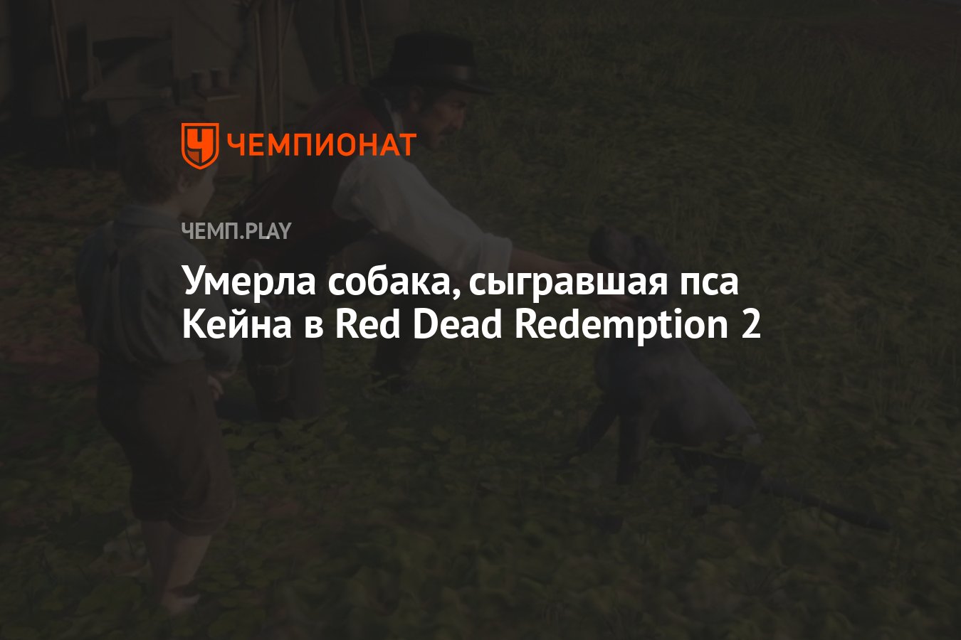 Умерла собака, сыгравшая пса Кейна в Red Dead Redemption 2 - Чемпионат