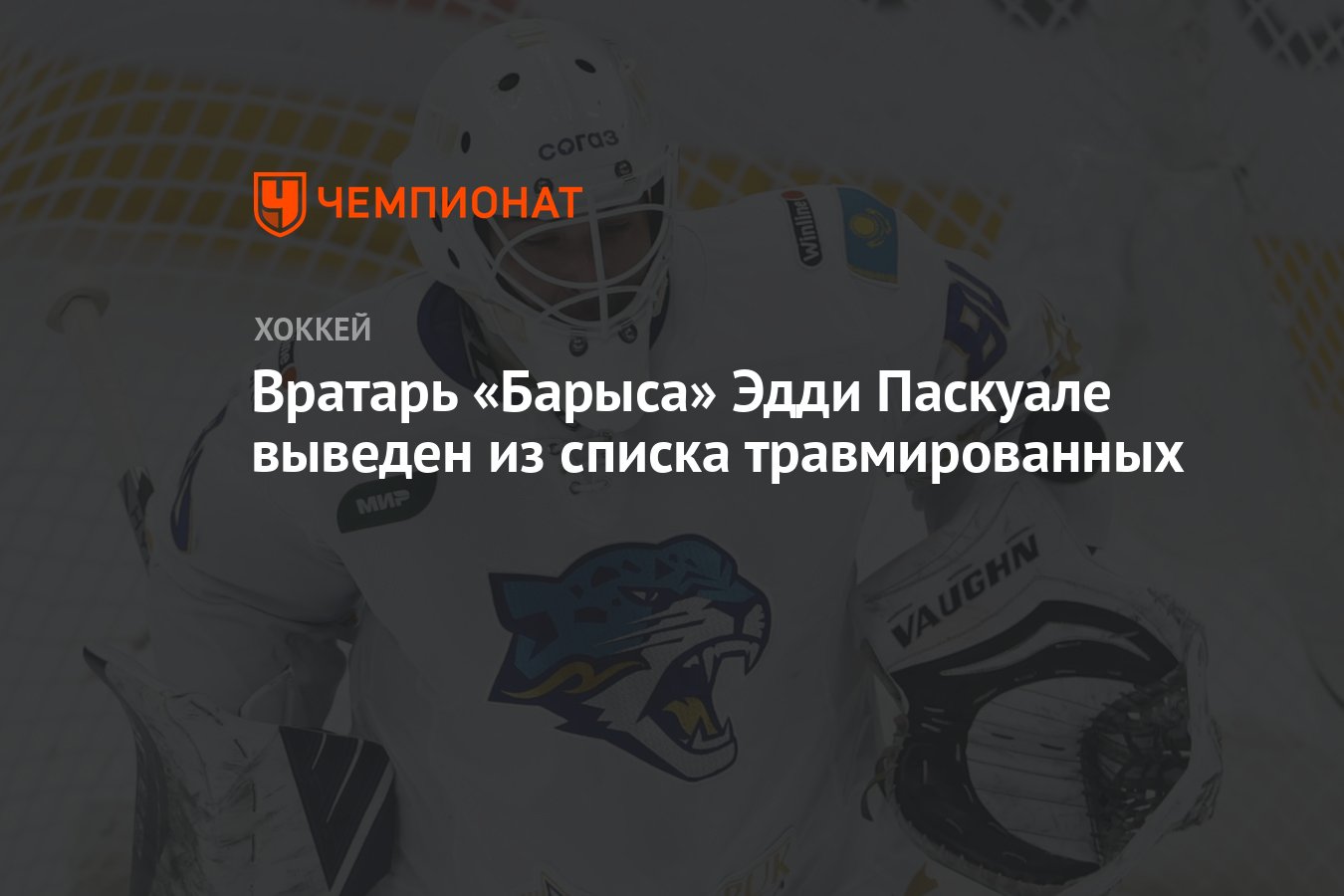 Қарапайым араб порно