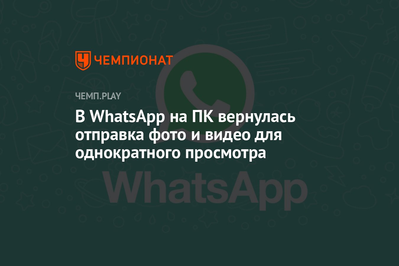 В WhatsApp на ПК вернулась отправка фото и видео для однократного просмотра  - Чемпионат