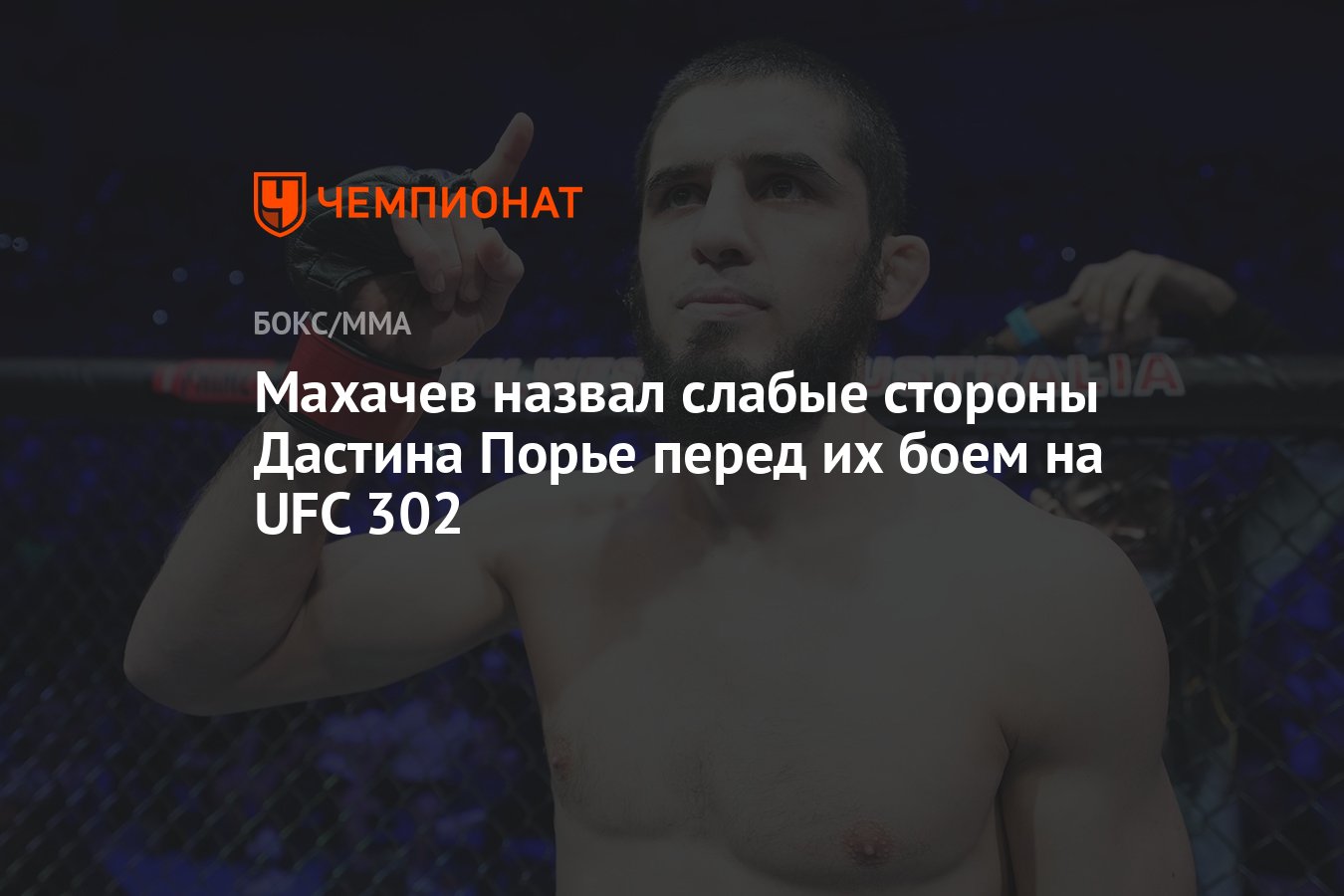 Махачев назвал слабые стороны Дастина Порье перед их боем на UFC 302 -  Чемпионат