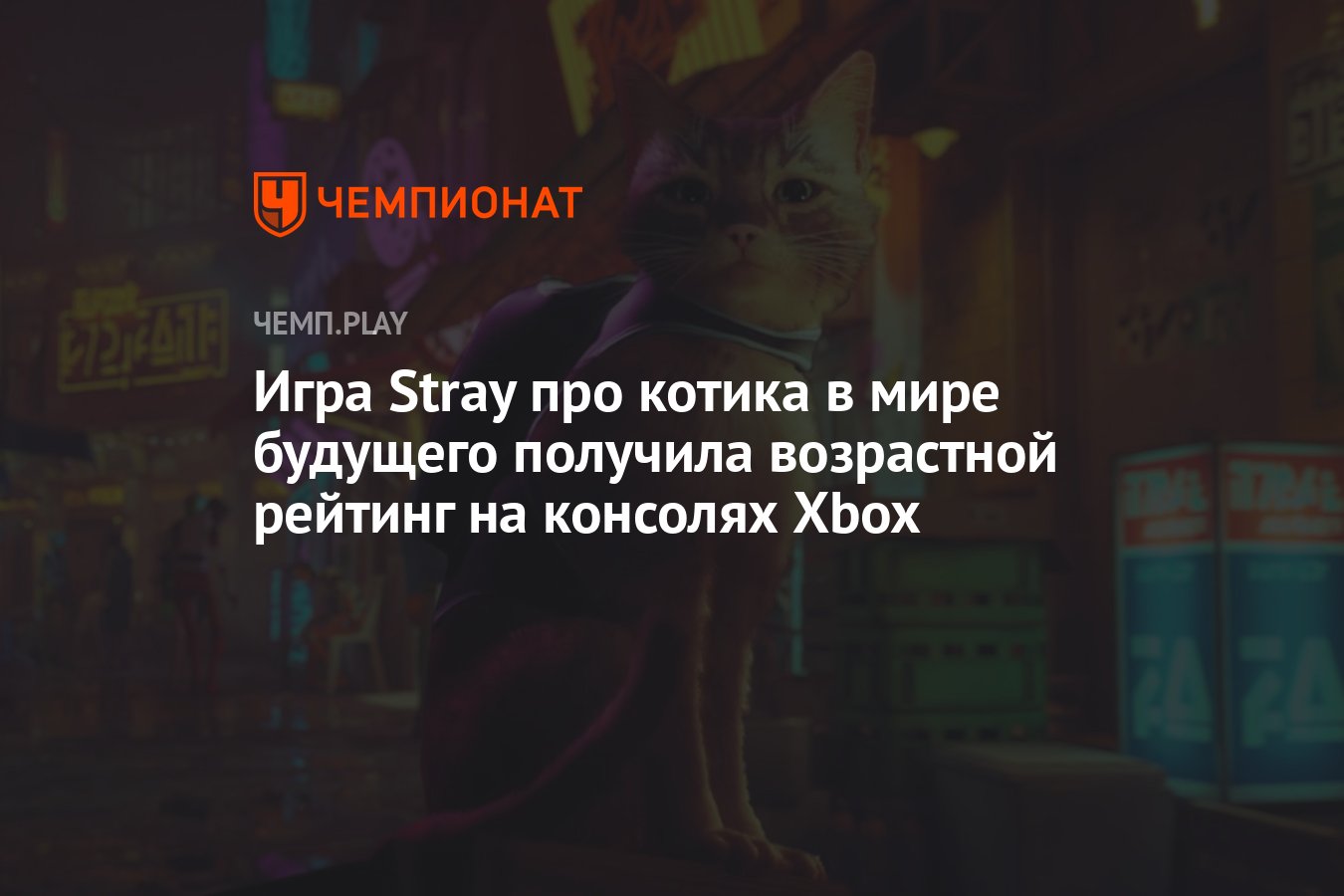 Игра Stray про милого котика в мире киберпанка может выйти на консолях Xbox  - Чемпионат