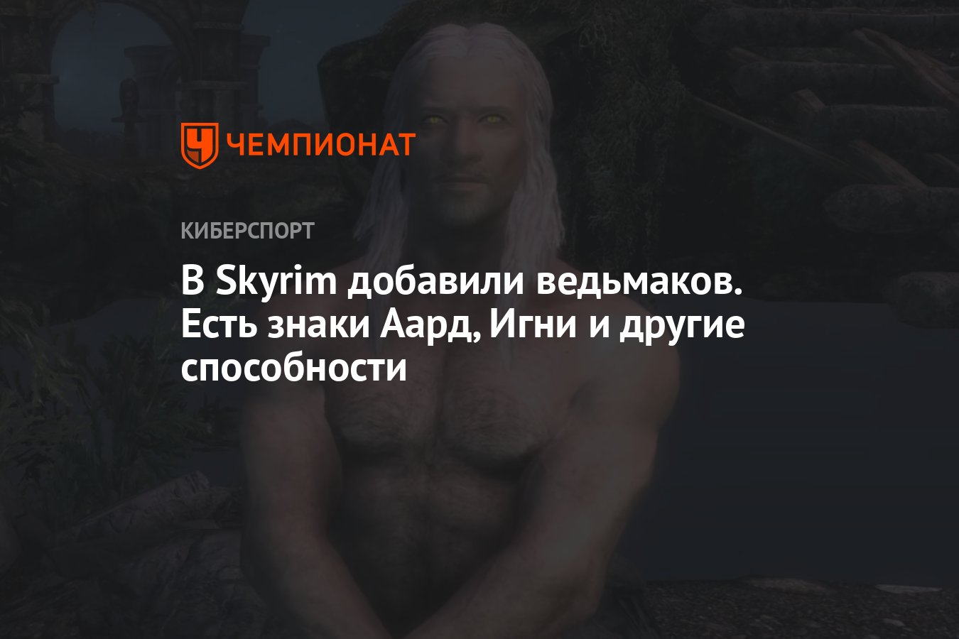 В Skyrim добавили ведьмаков. Есть знаки Аард, Игни и другие способности -  Чемпионат