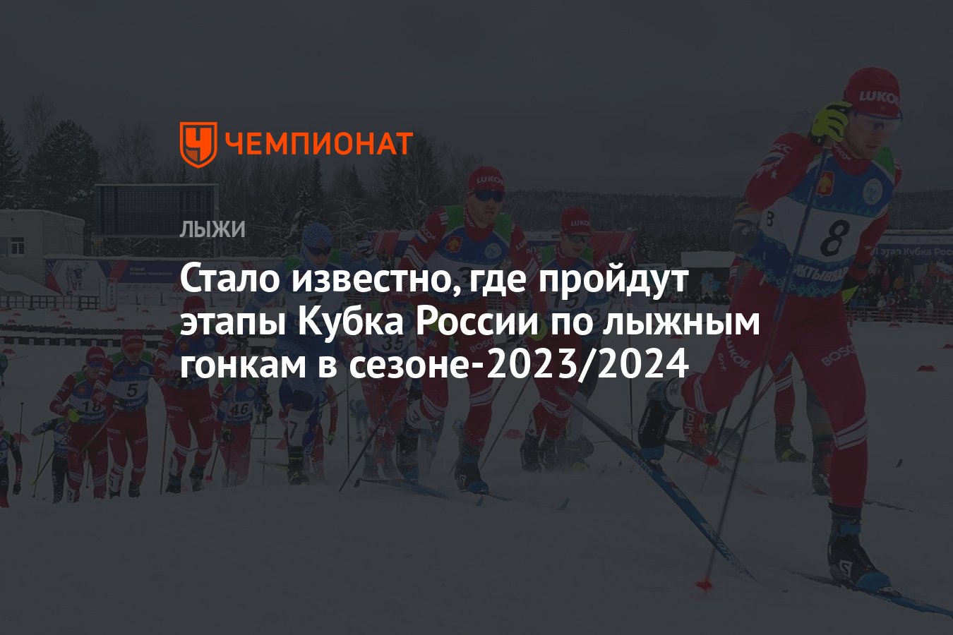 Лыжные гонки кубок россии 2023 2024 кировск