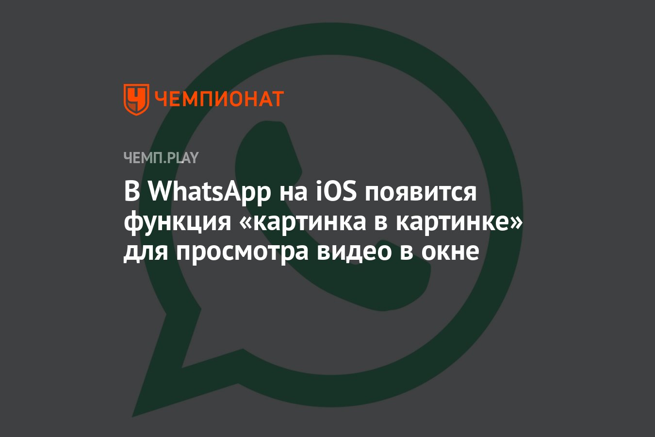 В WhatsApp на iOS появится функция «картинка в картинке» для просмотра  видео в окне - Чемпионат