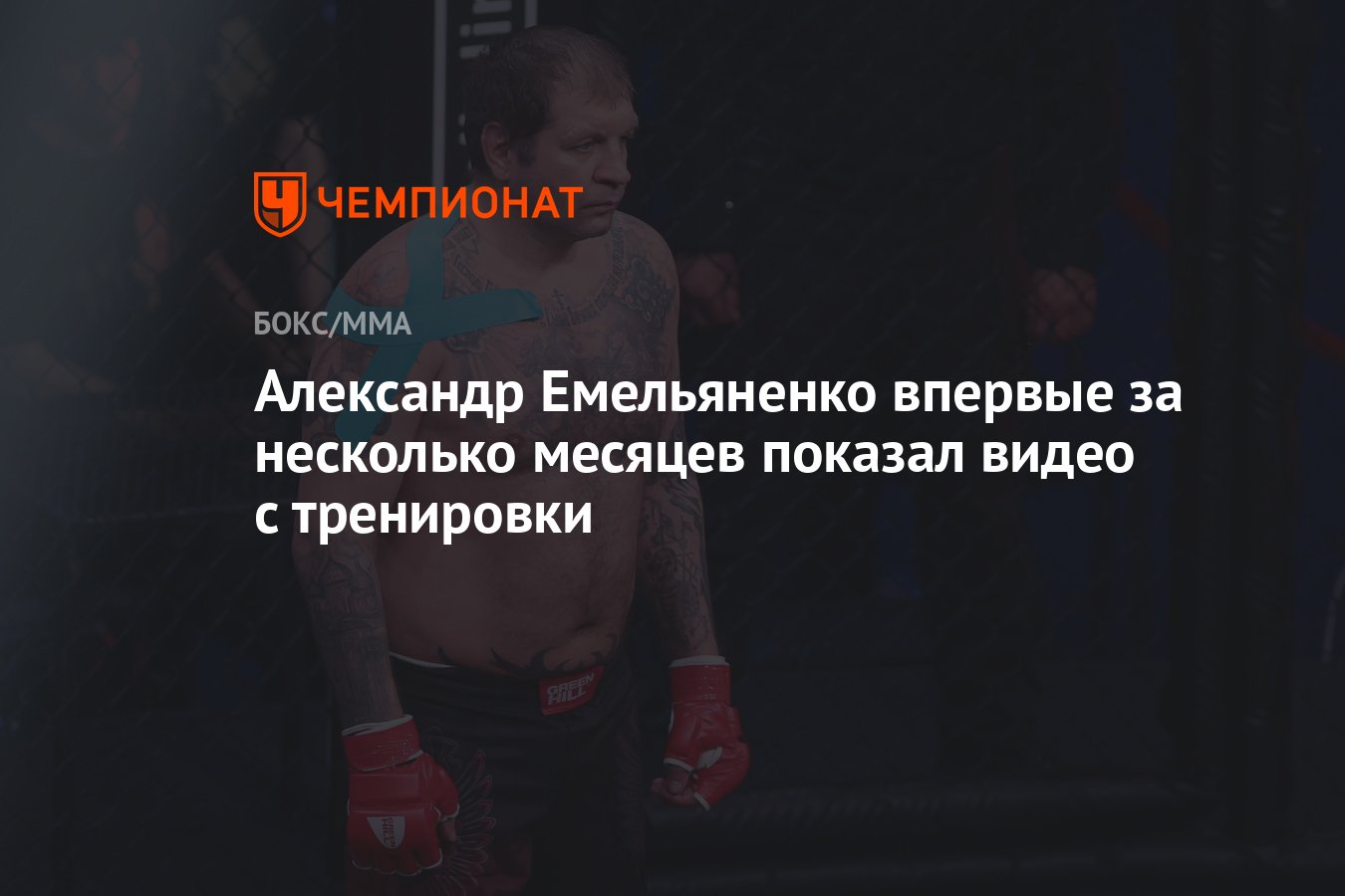 Александр Емельяненко впервые за несколько месяцев показал видео с  тренировки - Чемпионат