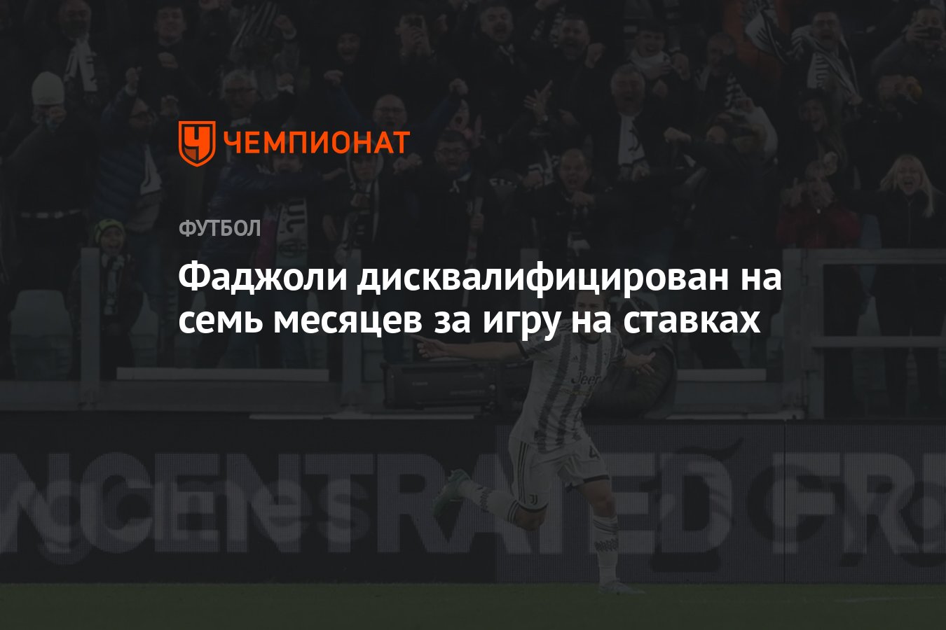 Фаджоли дисквалифицирован на семь месяцев за игру на ставках - Чемпионат