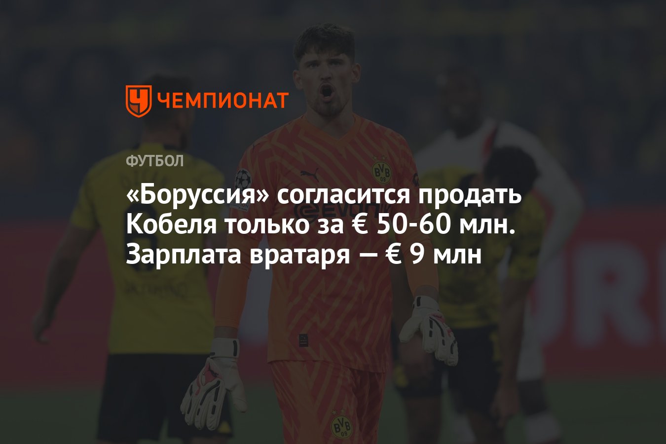 Боруссия» согласится продать Кобеля только за € 50-60 млн. Зарплата вратаря  — € 9 млн - Чемпионат