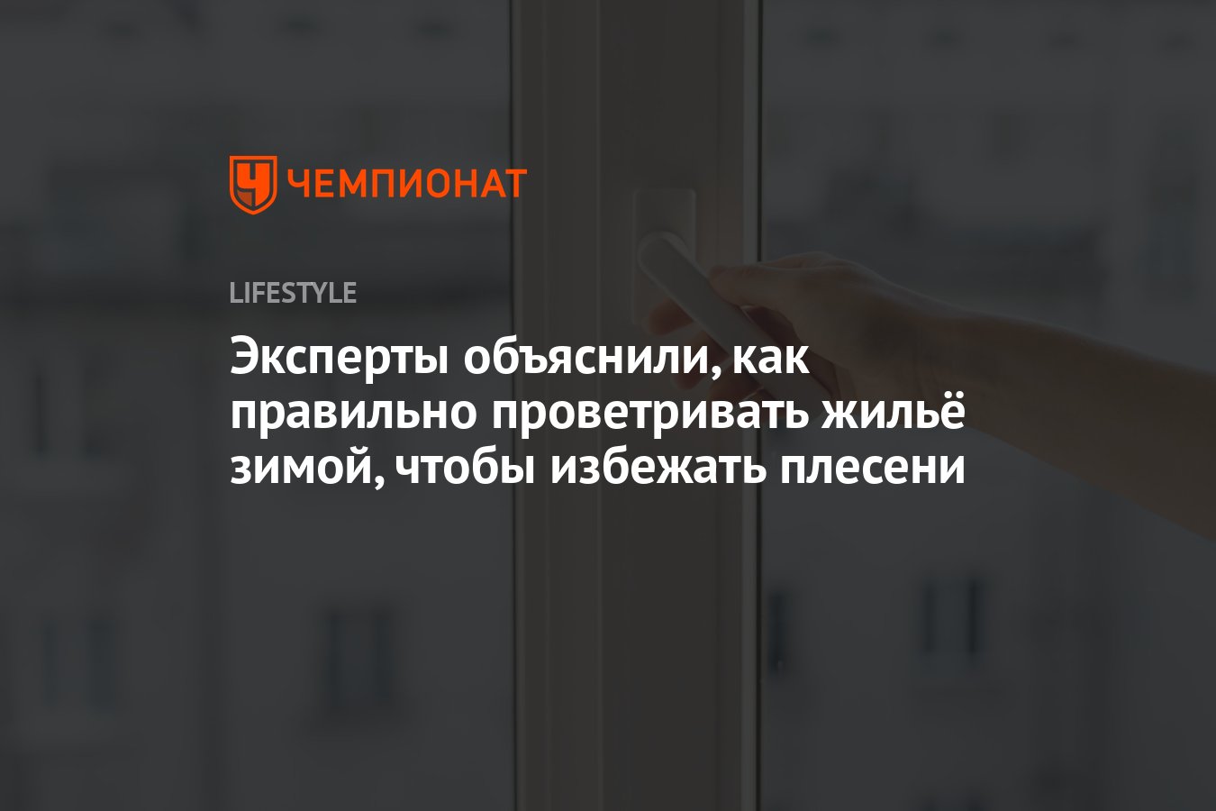 Эксперты объяснили, как правильно проветривать жильё зимой, чтобы избежать  плесени и конденсата - Чемпионат