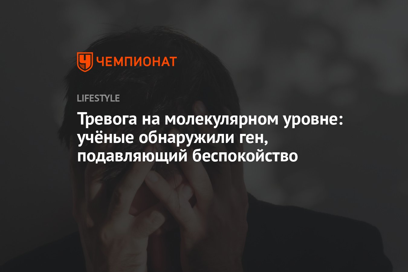 Тревога на молекулярном уровне: учёные обнаружили ген, подавляющий  беспокойство - Чемпионат