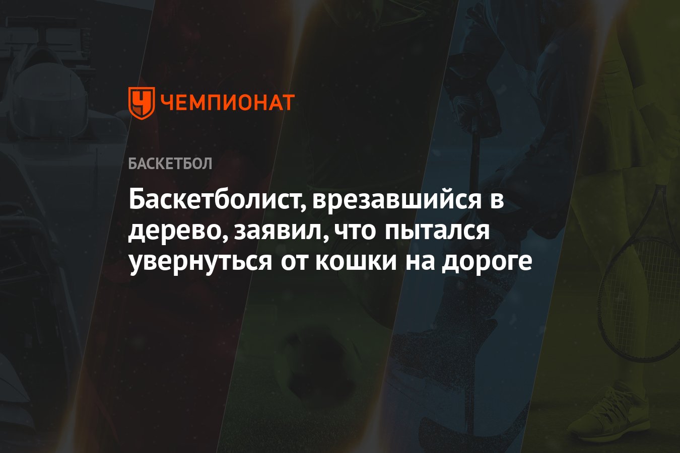 Баскетболист, врезавшийся в дерево, заявил, что пытался увернуться от кошки  на дороге - Чемпионат