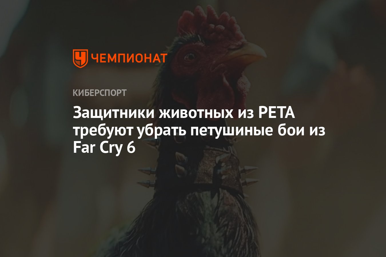 Защитники животных из PETA требуют убрать петушиные бои из Far Cry 6 -  Чемпионат