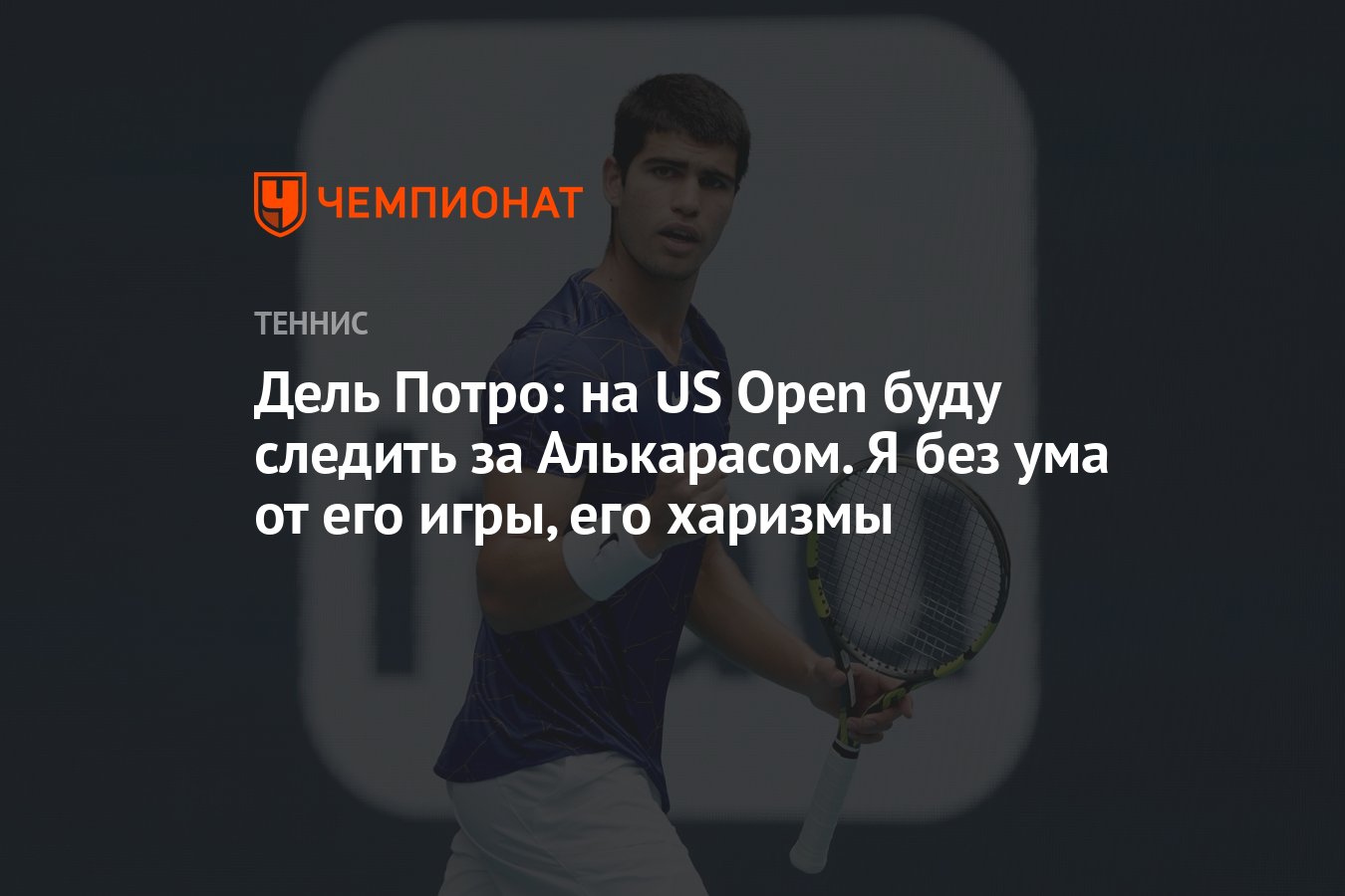 Дель Потро: на US Open буду следить за Алькарасом. Я без ума от его игры,  его харизмы - Чемпионат