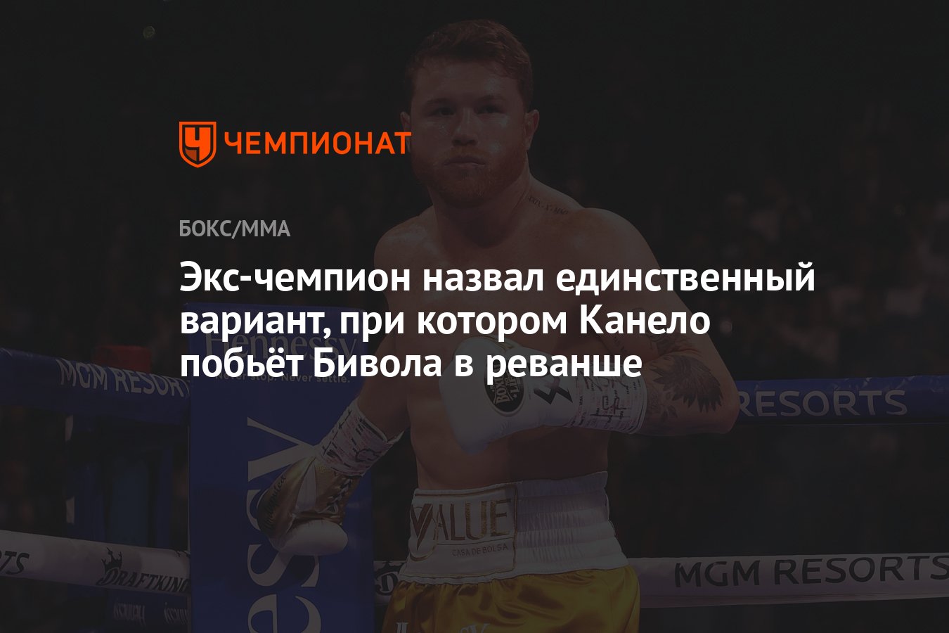 Экс чемпион это. Бивол Канело. Альварес Бивол реванш.