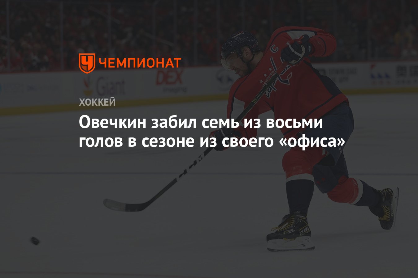 Овечкин 800 шайб. Щелчок Овечкина. Сведения Овечкина известный хоккеист. Семья Овечкина хоккеиста.