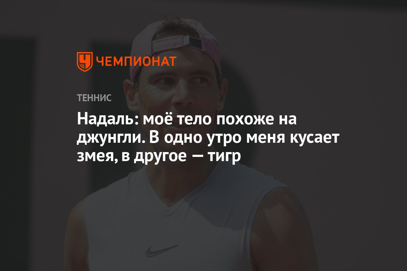 Надаль: моё тело похоже на джунгли. В одно утро меня кусает змея, в другое  — тигр - Чемпионат