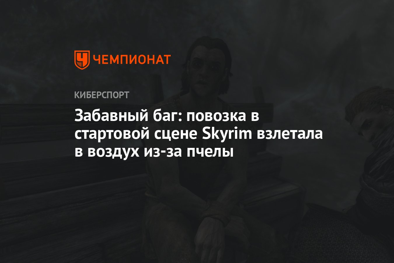 Забавный баг: повозка в стартовой сцене Skyrim взлетала в воздух из-за  пчелы - Чемпионат