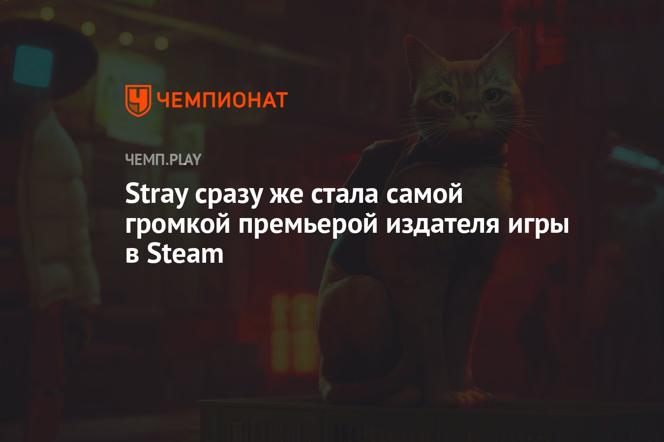 Stray сразу же стала самой громкой премьерой издателя игры в Steam -  Чемпионат