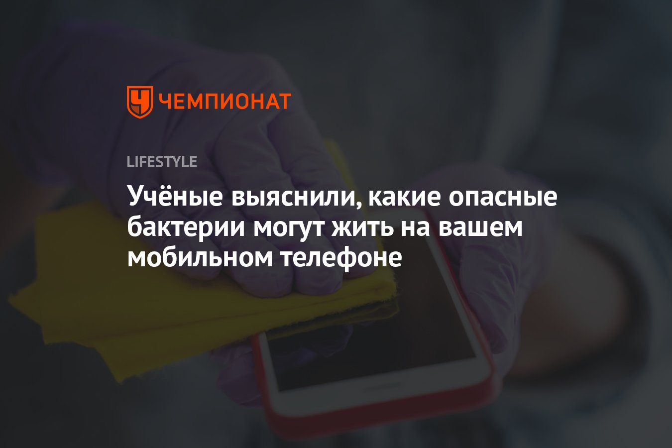 Учёные выяснили, какие опасные бактерии могут жить на вашем мобильном  телефоне - Чемпионат