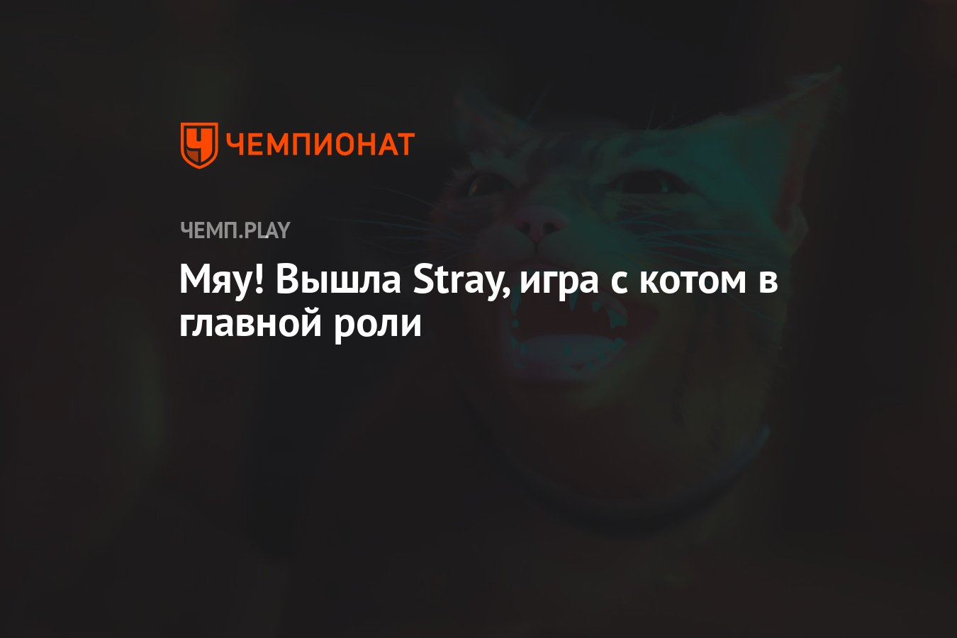 Мяу! Вышла Stray, игра с котом в главной роли - Чемпионат