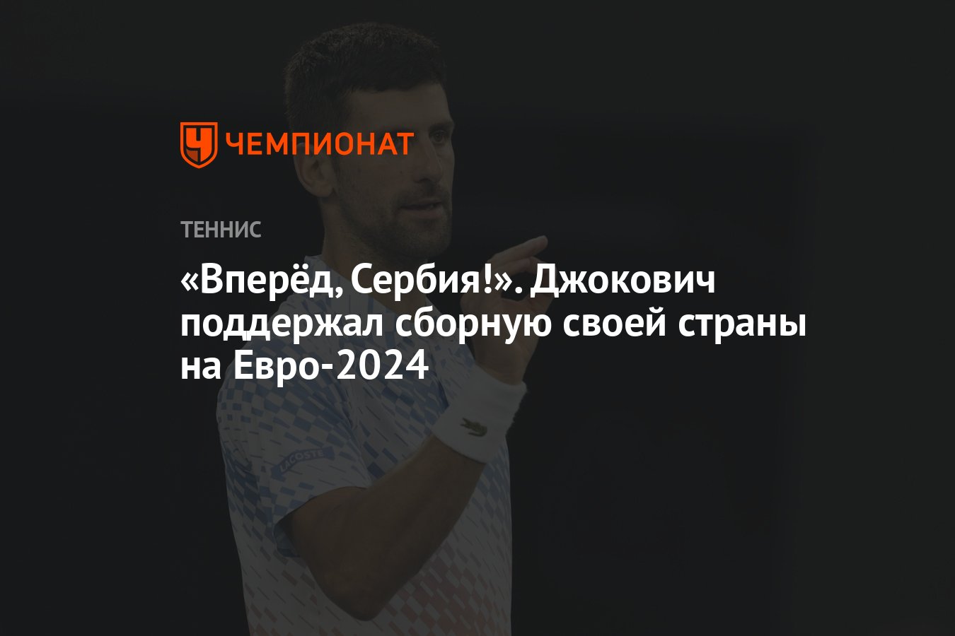 Вперёд, Сербия!». Джокович поддержал сборную своей страны на Евро-2024 -  Чемпионат