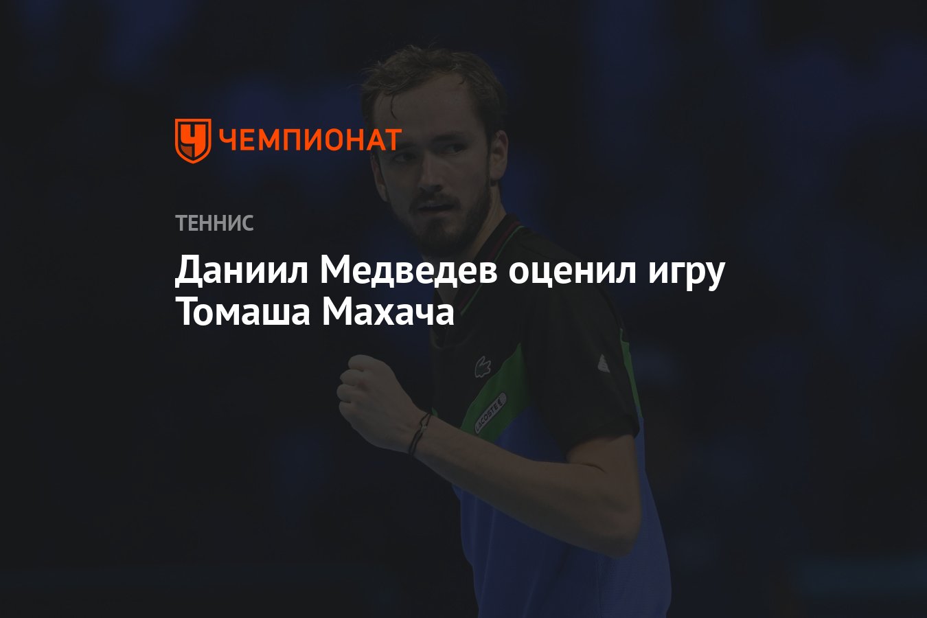 Даниил Медведев оценил игру Томаша Махача - Чемпионат