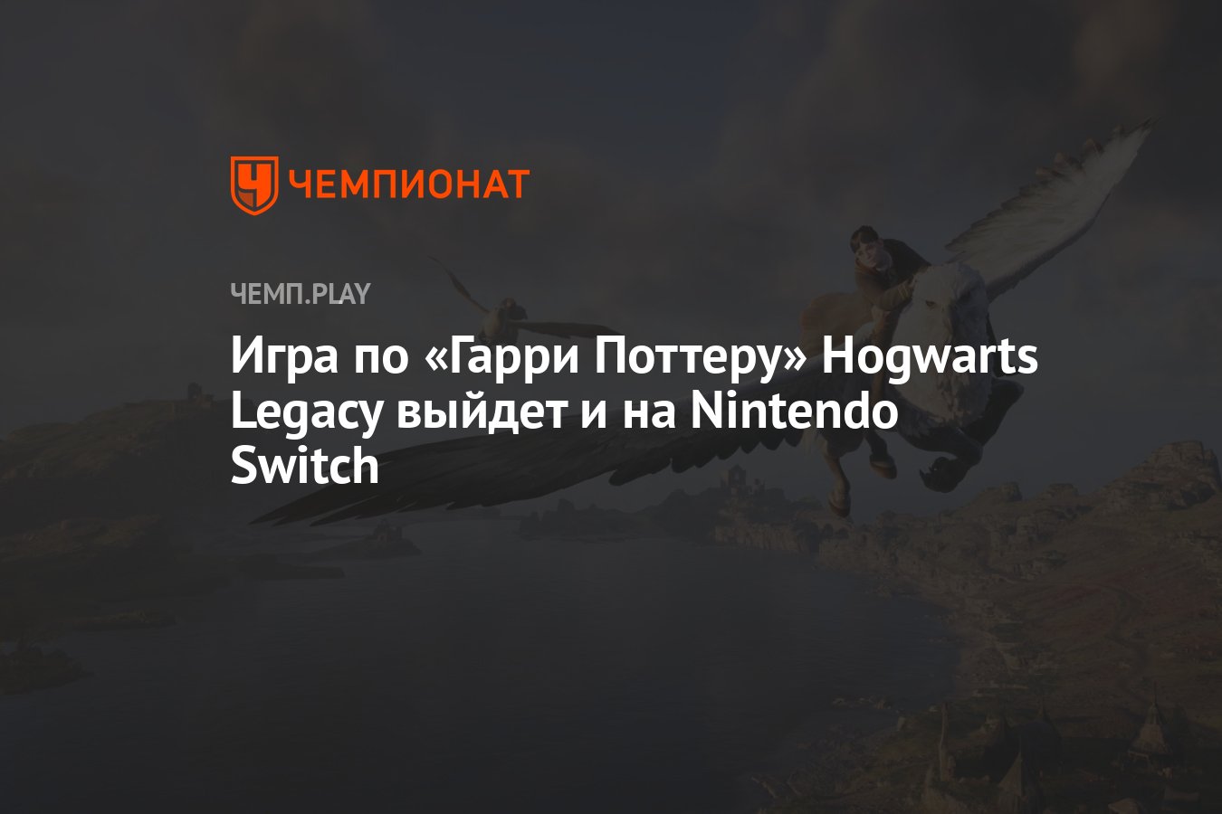 Игра по «Гарри Поттеру» Hogwarts Legacy выйдет и на Nintendo Switch -  Чемпионат