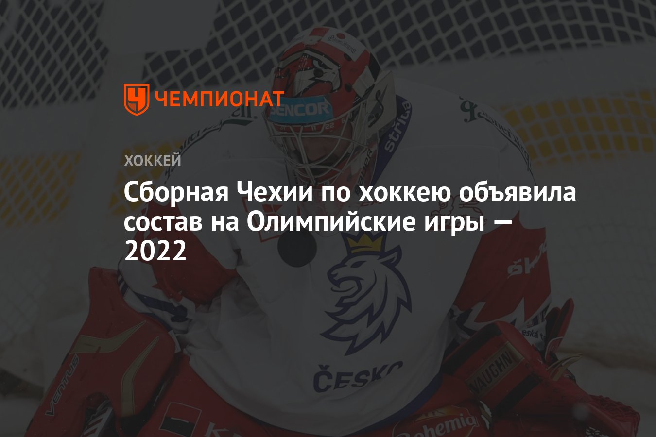 Сборная Чехии по хоккею объявила состав на Олимпийские игры — 2022 -  Чемпионат