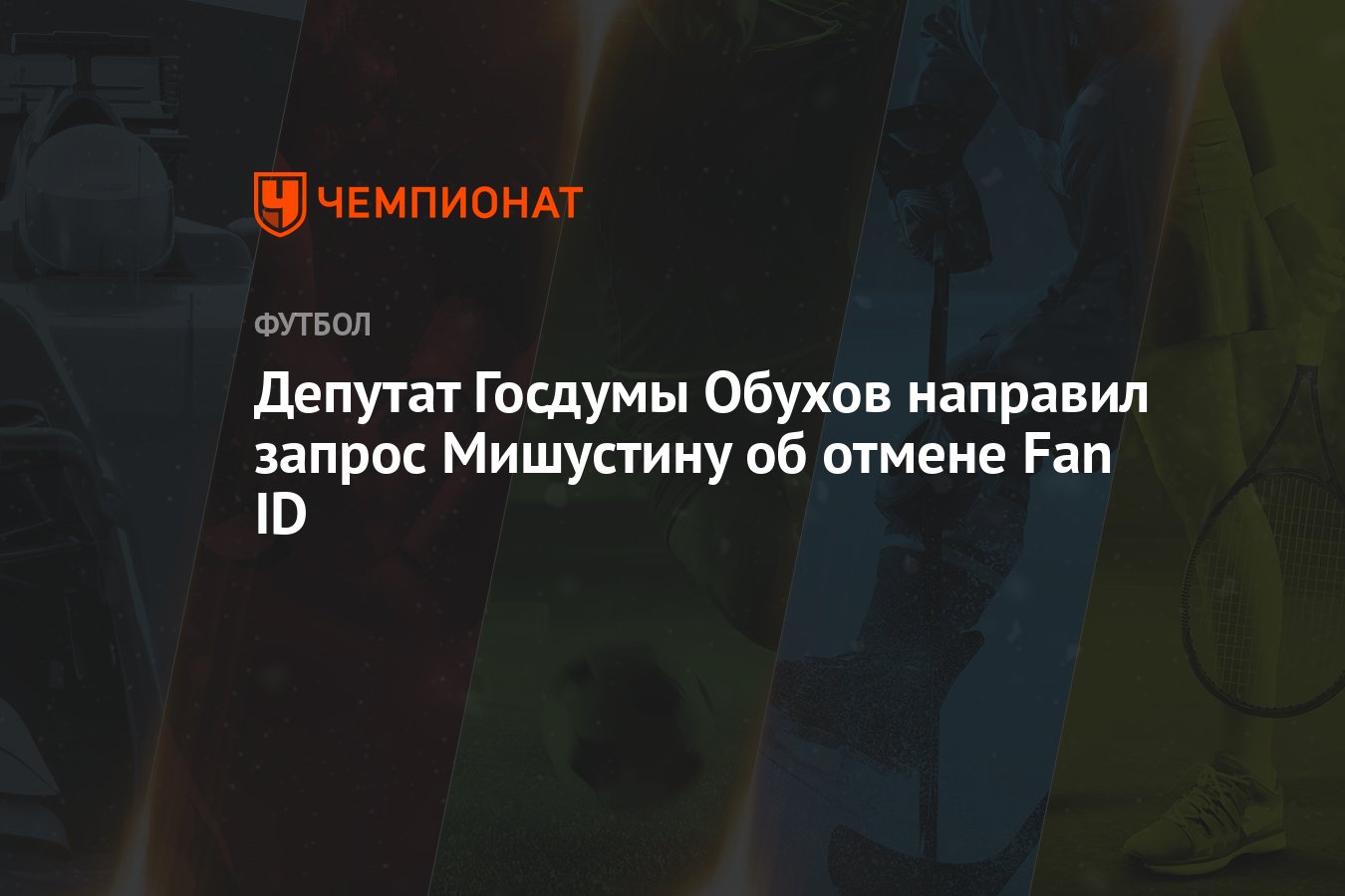 В Госдуме просят Мишустина отказаться от системы Fan-ID