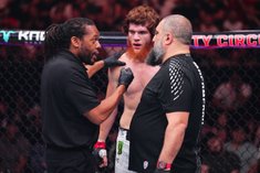 Бойцы UFC ополчились на топового рефери