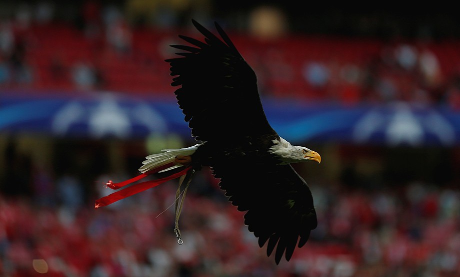 801810-simvol-velikogo-portugalskogo-klu