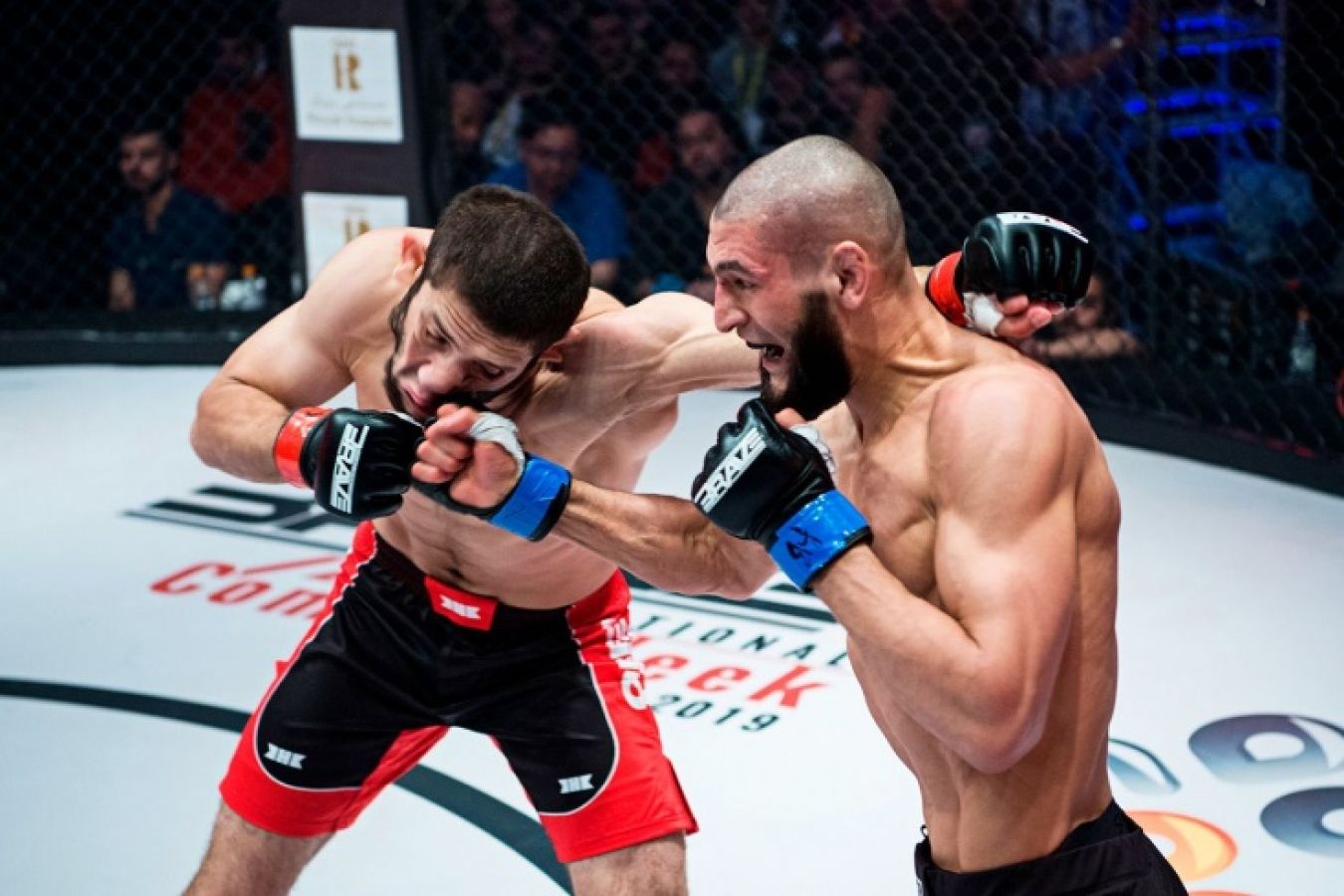 Lucha contra Ikram Aliskerov (19 de abril de 2019)