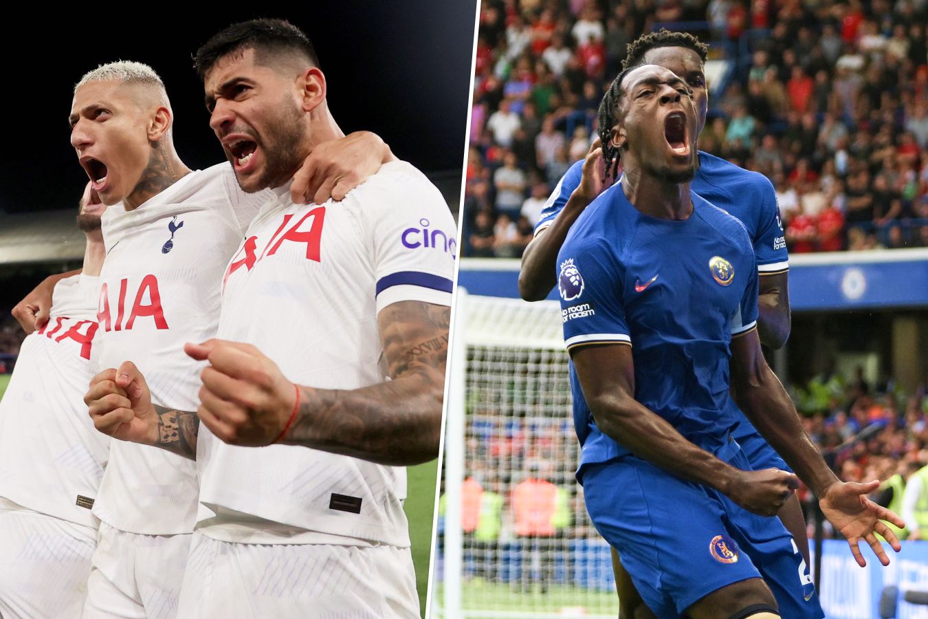 Tottenham bayern