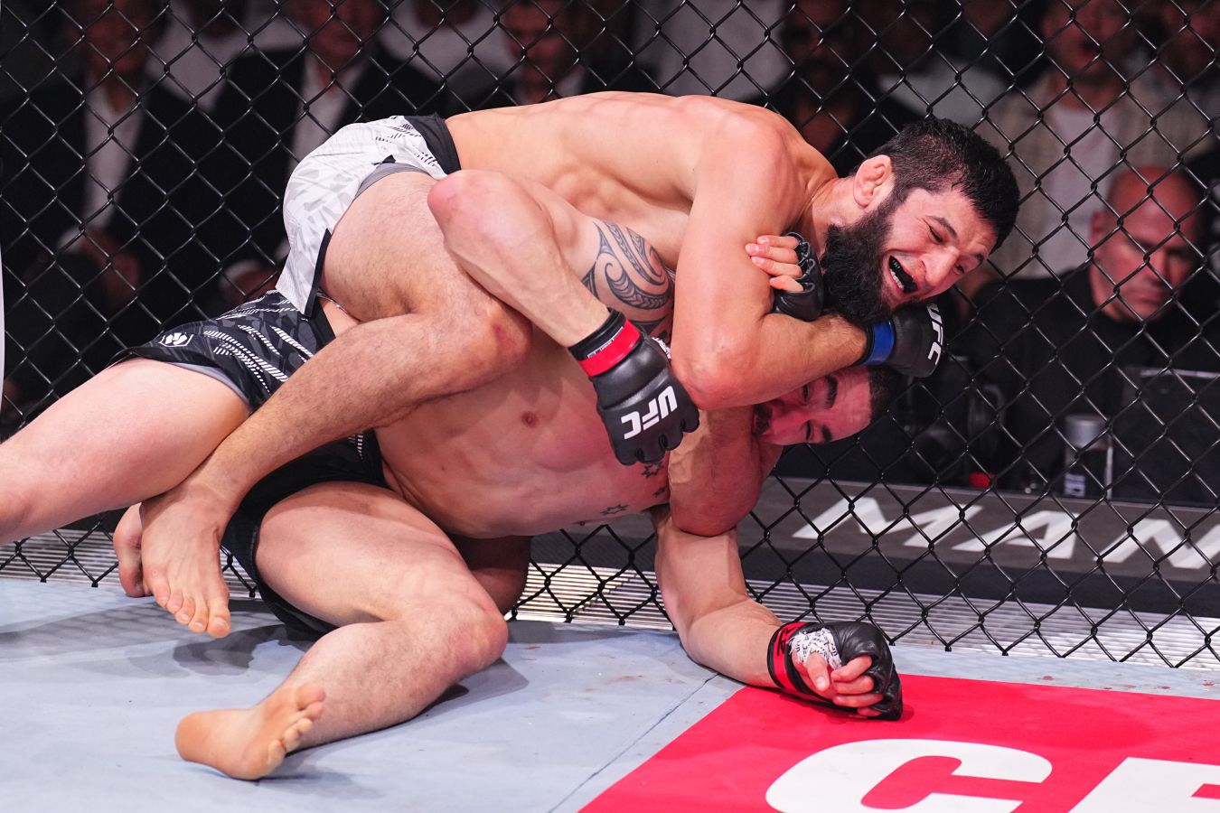 Хамзат Чимаев — Роберт Уиттакер. UFC 308