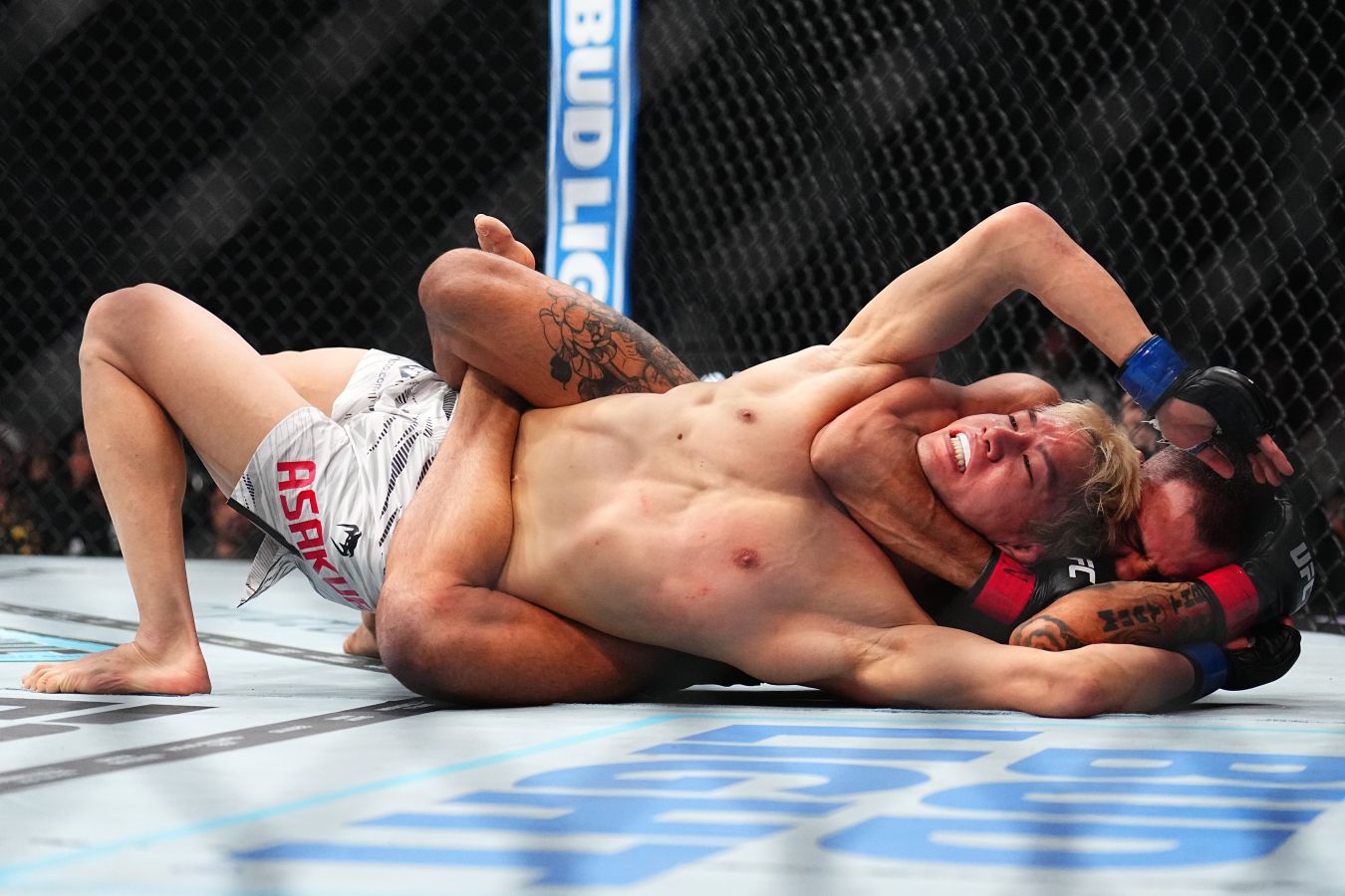 Александр Пантожа — Кай Асакура. UFC 310