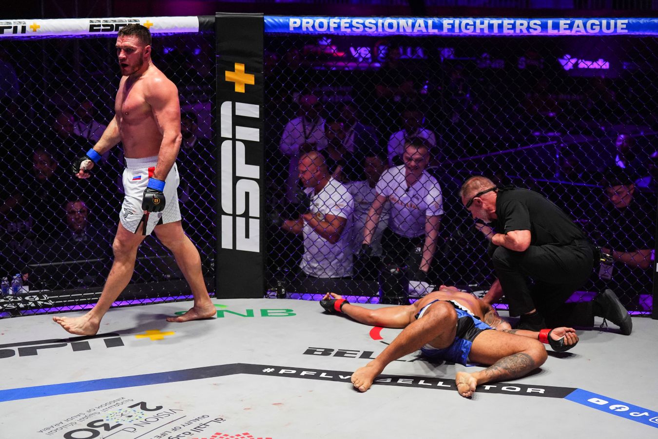 Вадим Немков — Бруно Каппелоцца. PFL vs Bellator