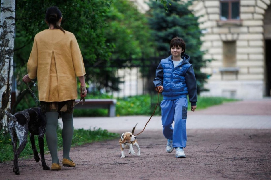 Стартовало производство семейной комедии «Принц» о собачьей любви