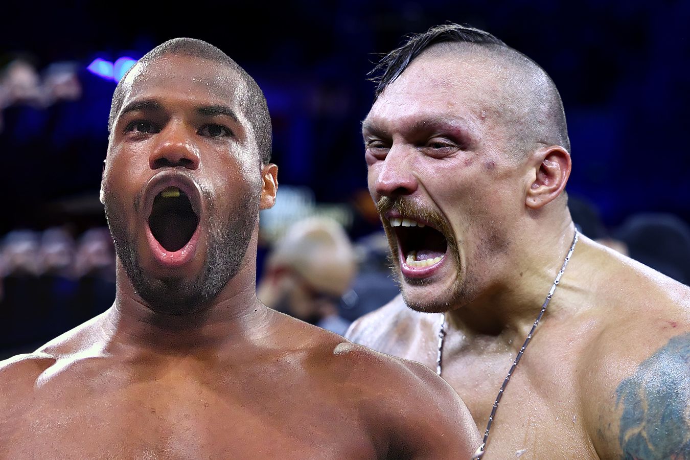 Большие боксеры Anthony Joshua