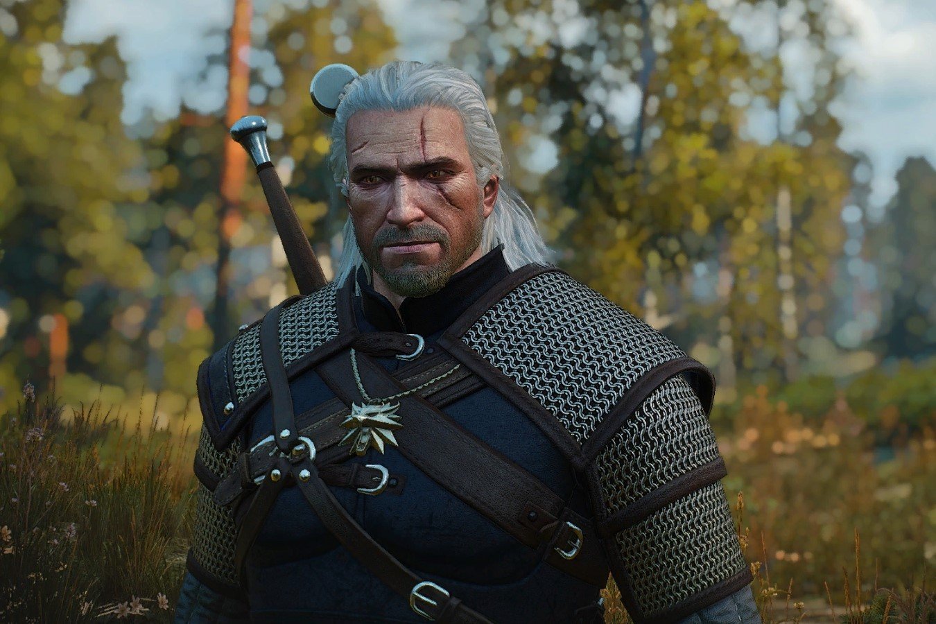 The witcher 3 dark souls фото 107