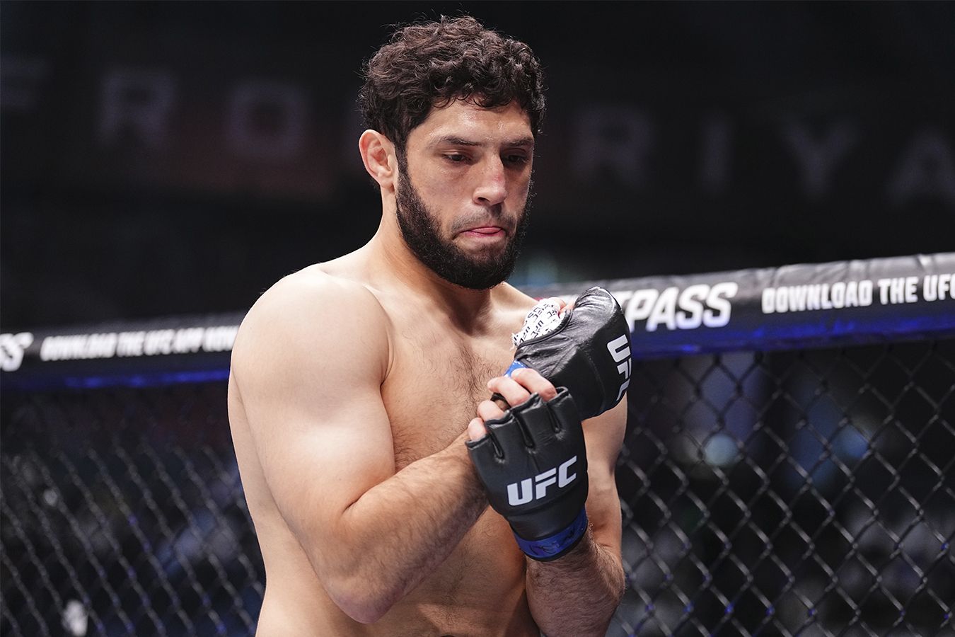 Dsip ������� �����: ����.