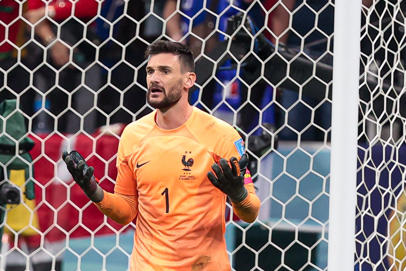 Lloris вратарь