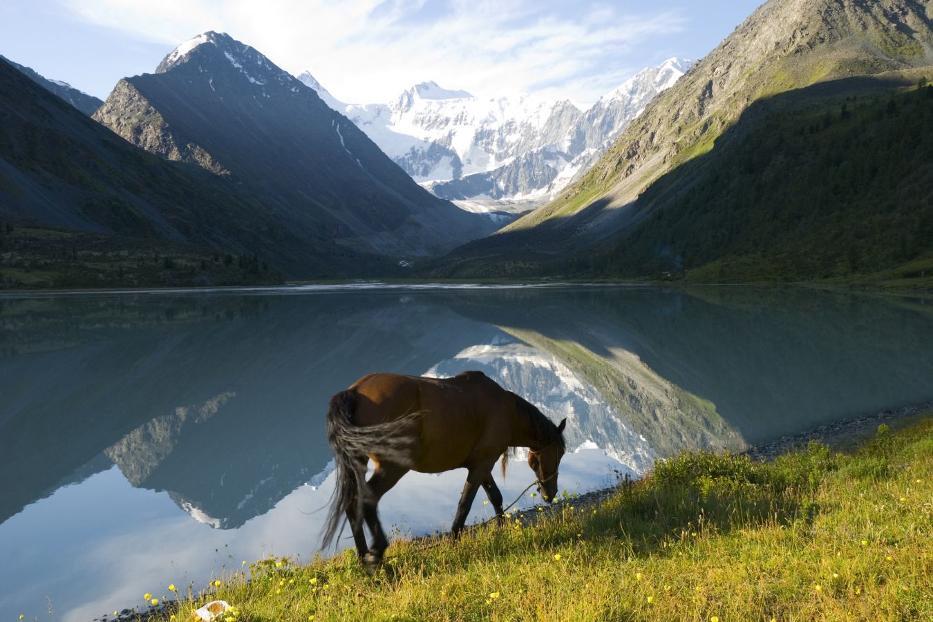 Лошадь скалистых гор. Лошадь у озера. Алтай пейзажи с солнцем и лошадьми. Фотография лета озеро лошади. Хорс лейк