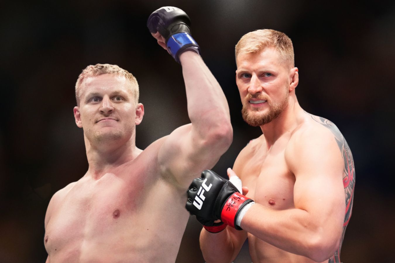 Olymp Labs ���� �����������: ����.