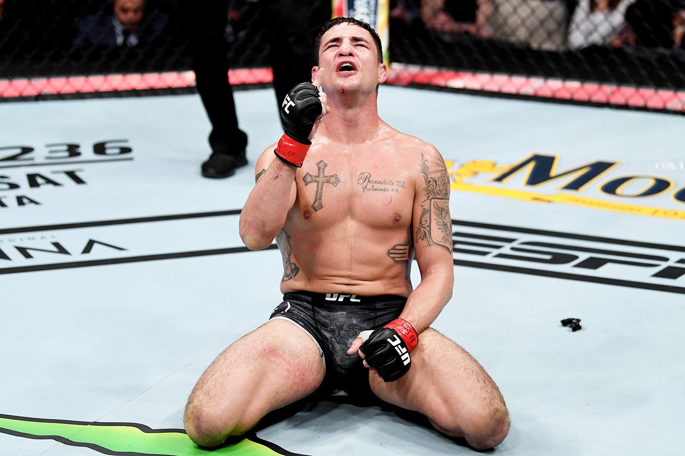 Денис дж санчес фото Видео тренировки отчисленного Даной Уайтом из UFC Диего Санчеса, над которым изд
