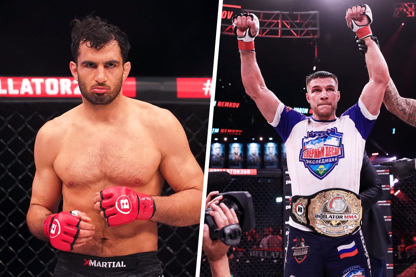 Gegard Mousasi MMA