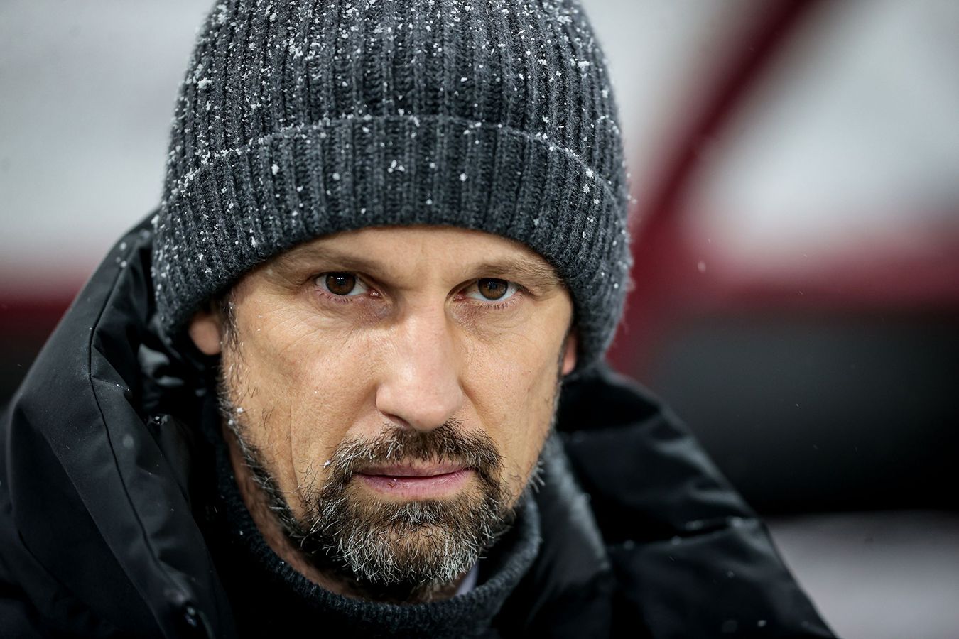 Тэфи регион 2020. Тэфи 9. Тэффи награда. Премия тэфи 2021. Тэфи регион 2021.