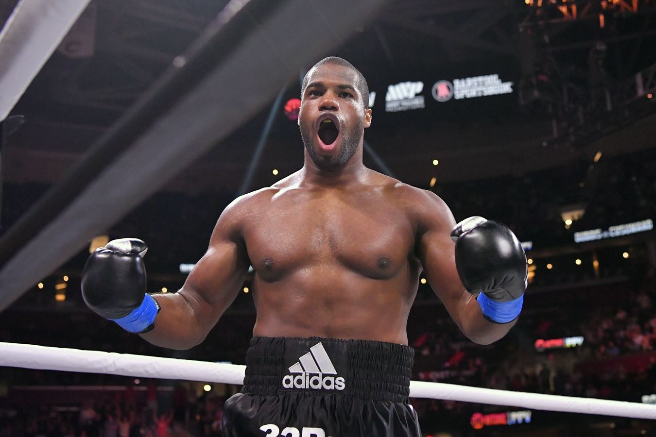 Большие боксеры Anthony Joshua