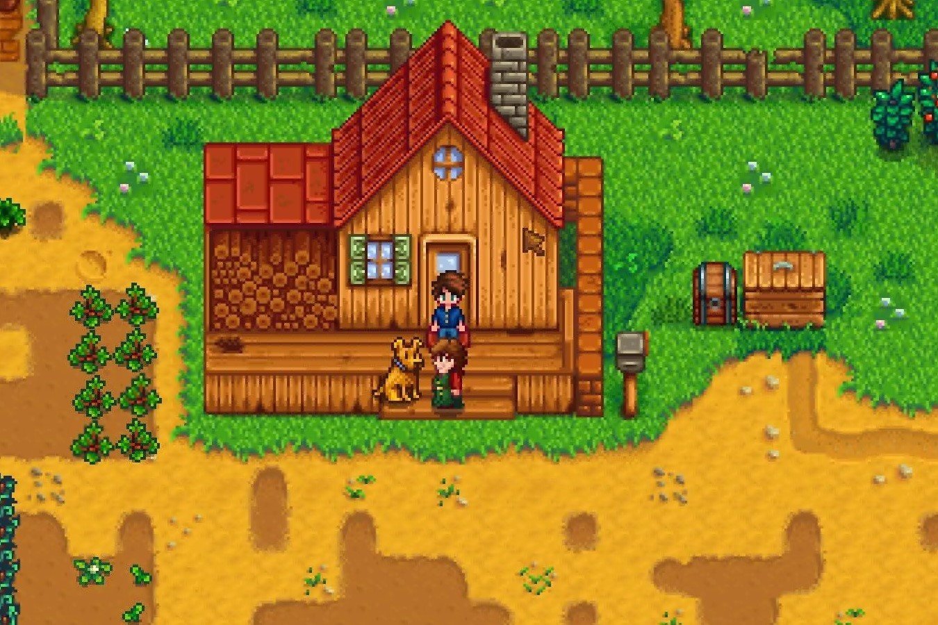 Stardew valley пьер