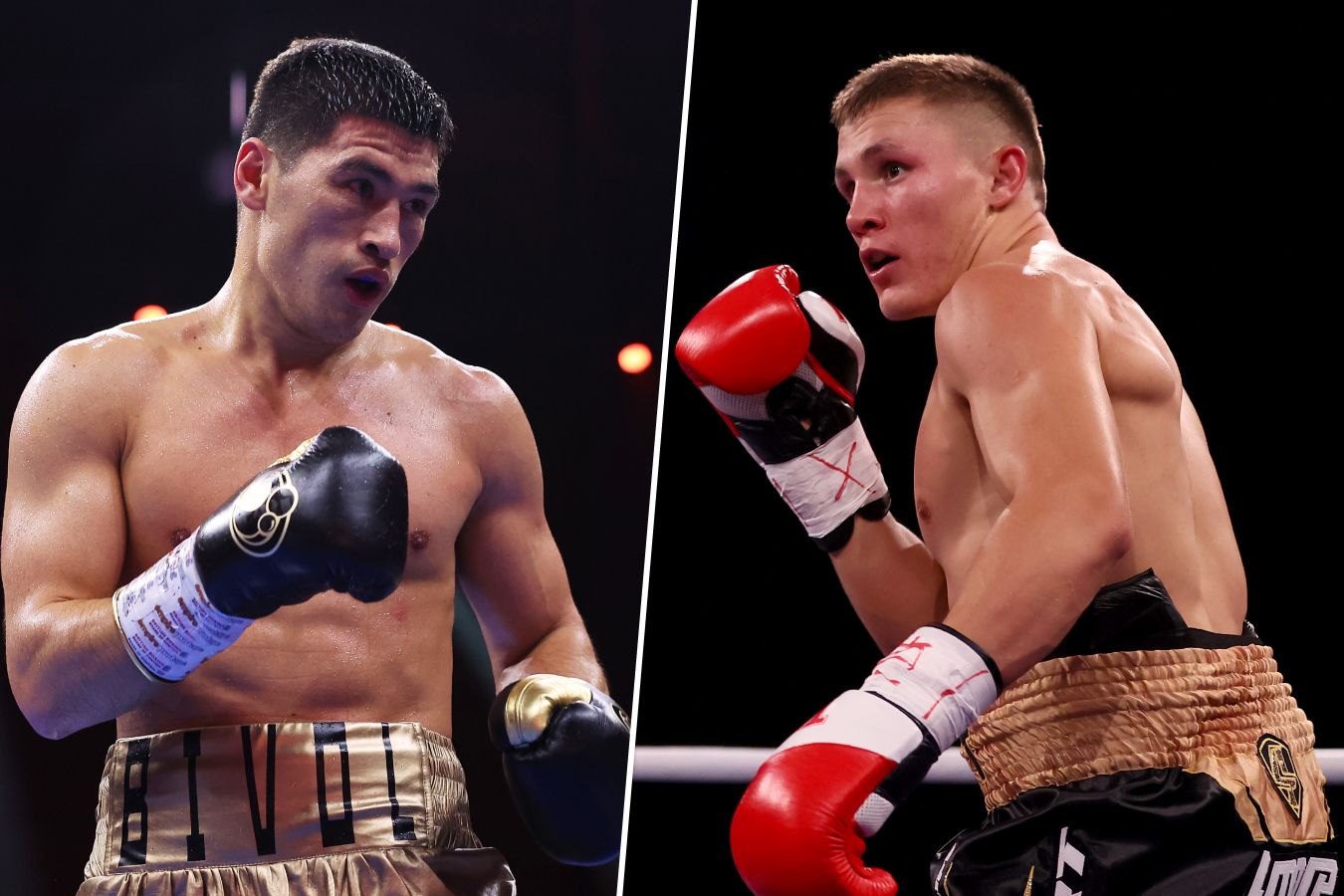 Dmitri Bivol VS Michael Eifert