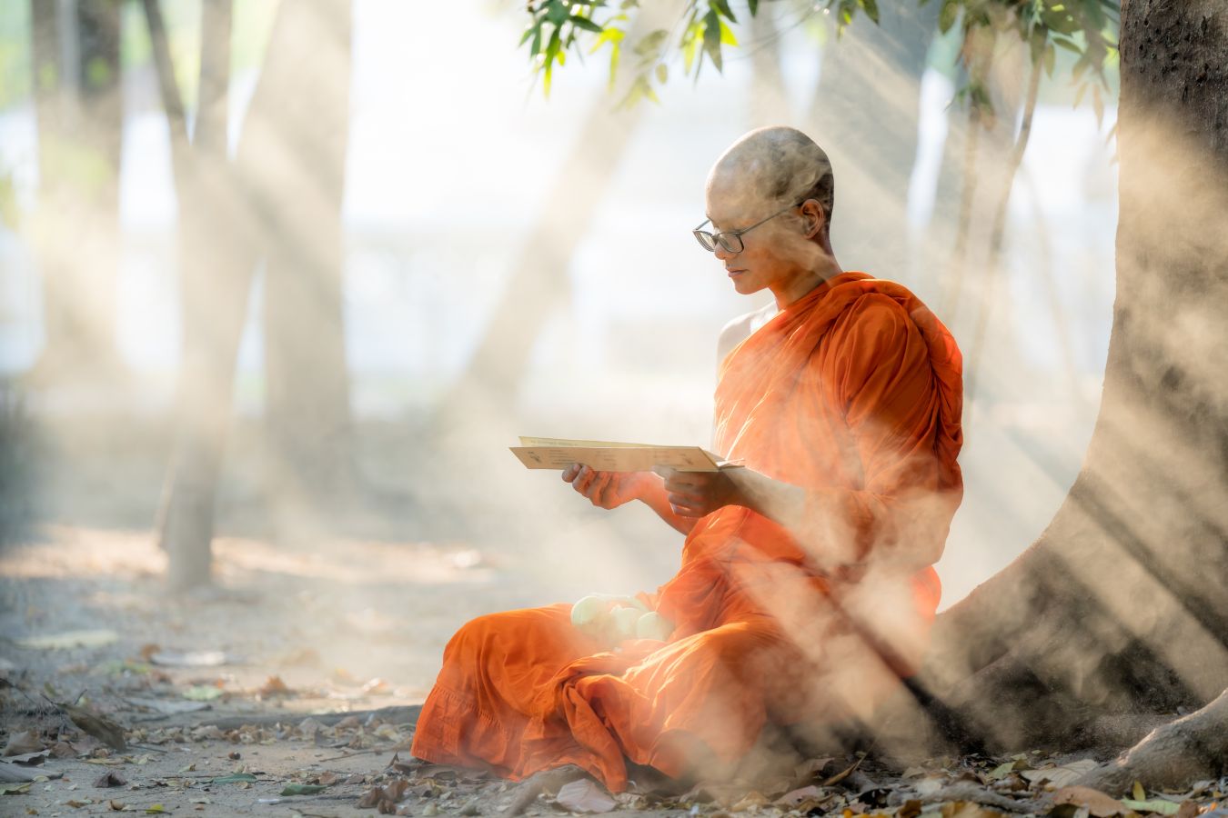 День будды 2024. Буддийская мудрость. Будда. Будда и не буддист. Книга буддистов.